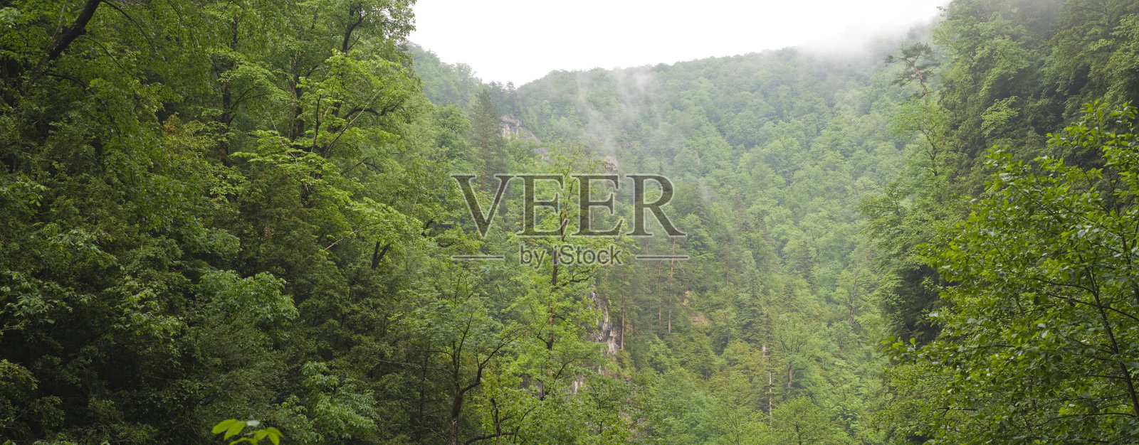 全景峡谷照片摄影图片