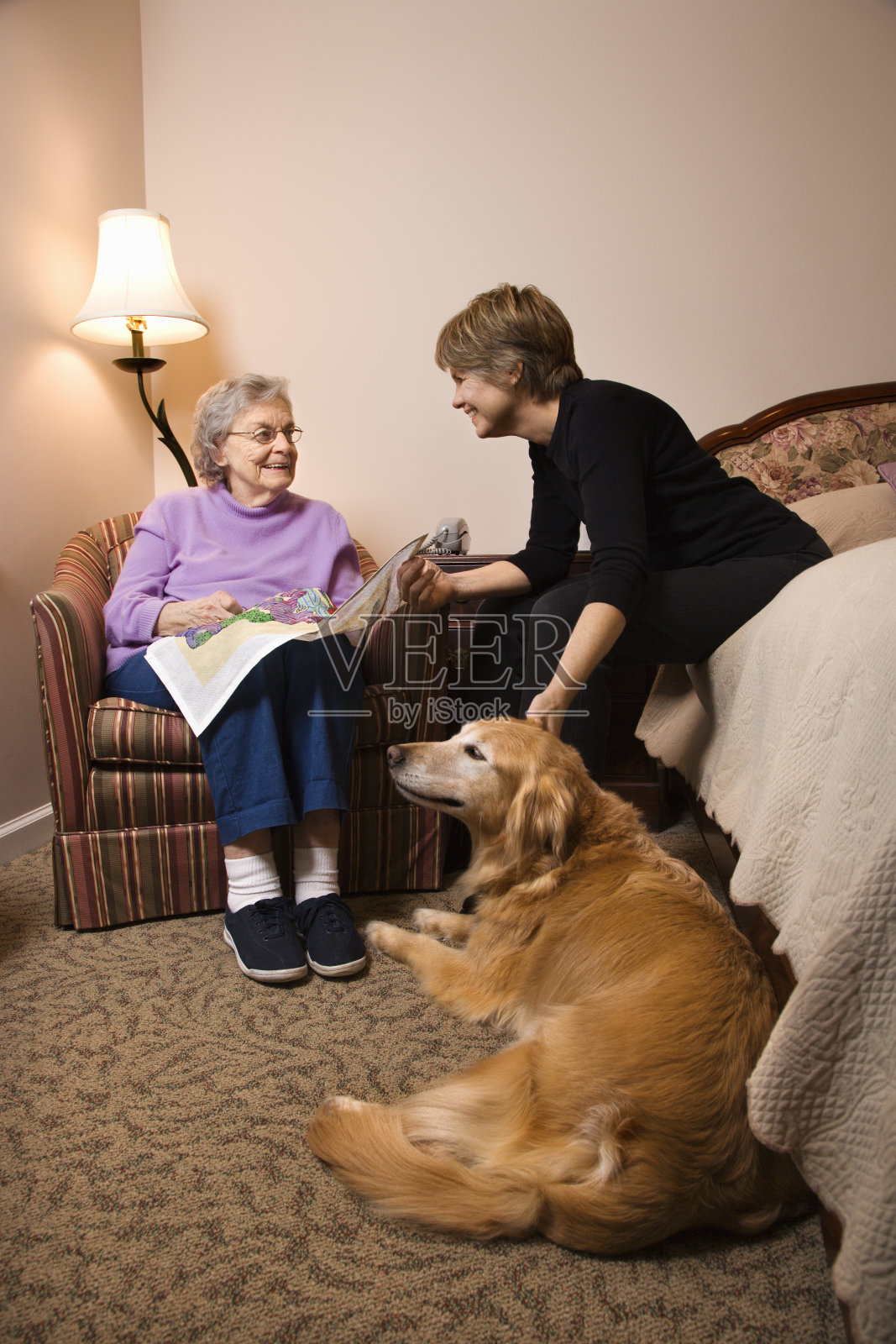 老年与年轻的女人和狗照片摄影图片
