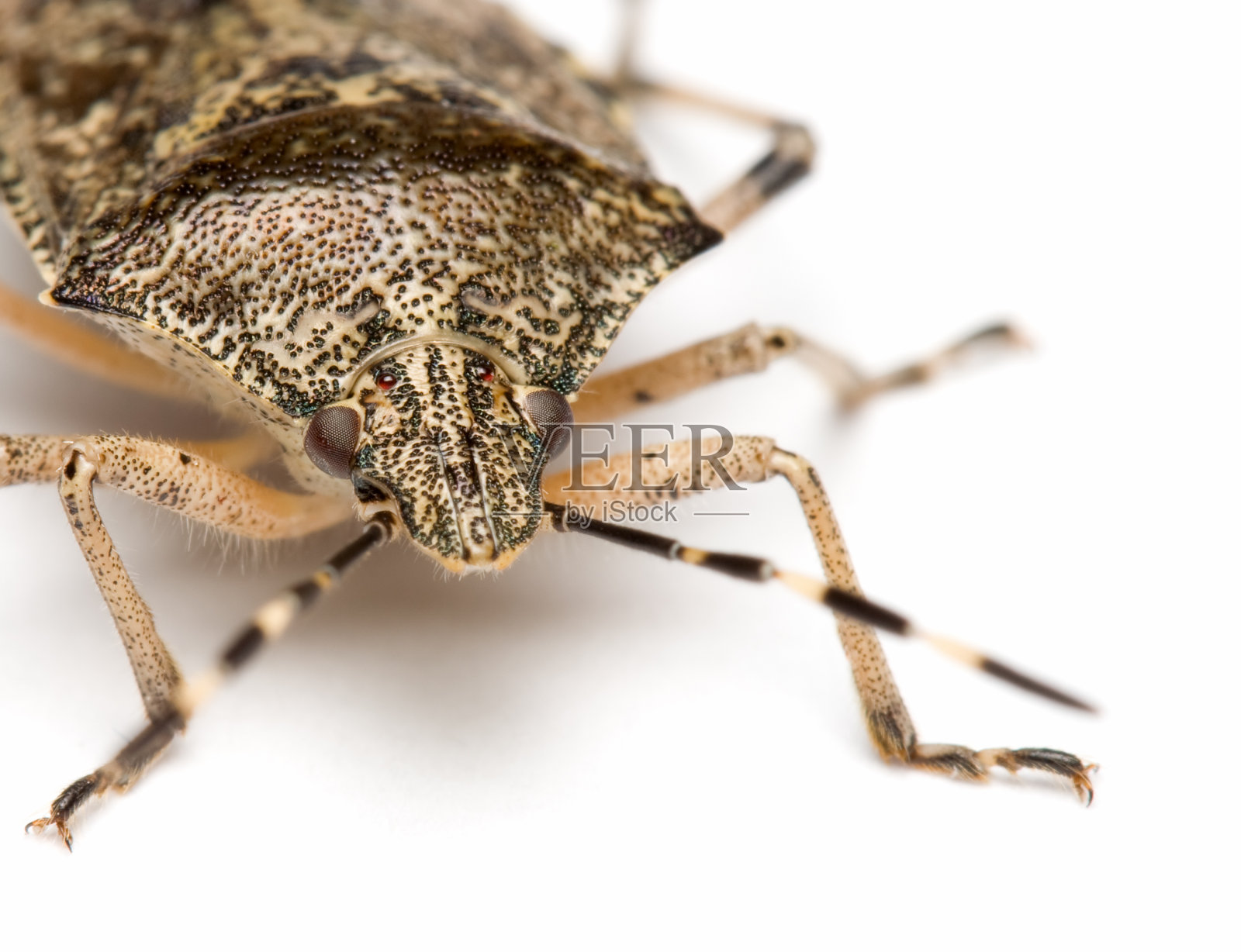 错误照片摄影图片