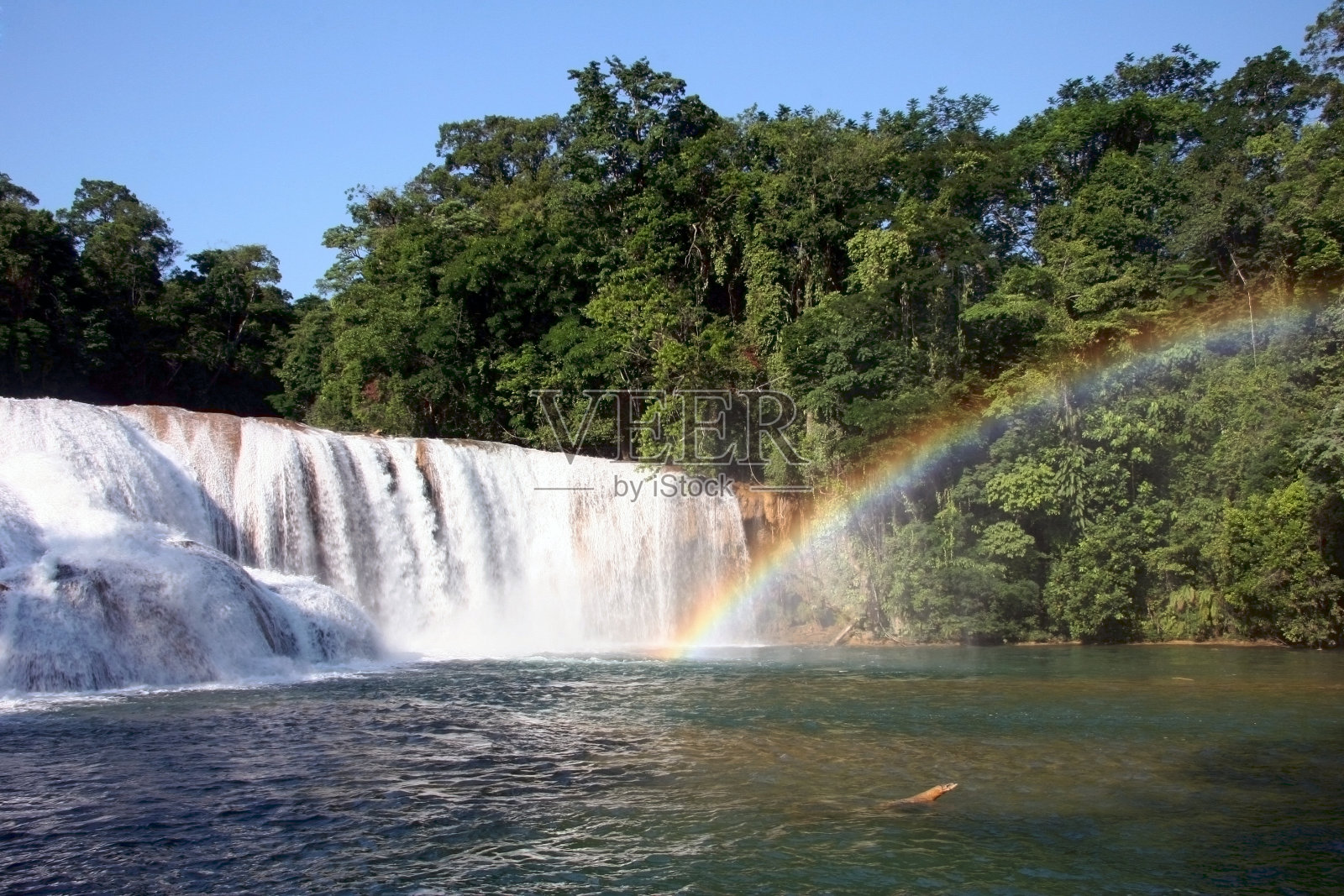 彩虹在瀑布照片摄影图片