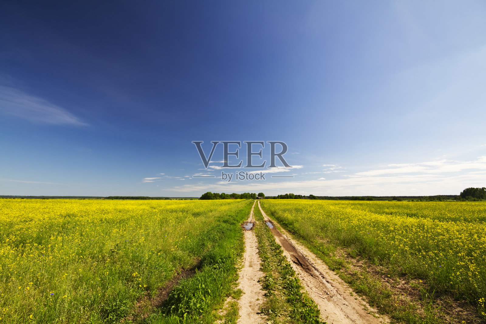 路油菜花领域照片摄影图片