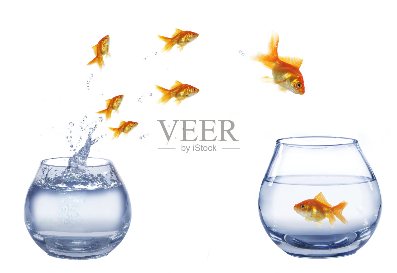 跳转到公司照片摄影图片