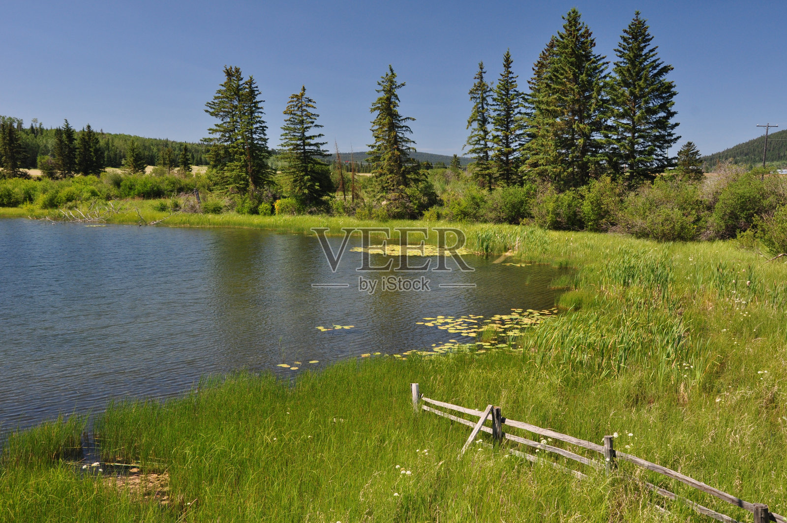 夏天湖照片摄影图片