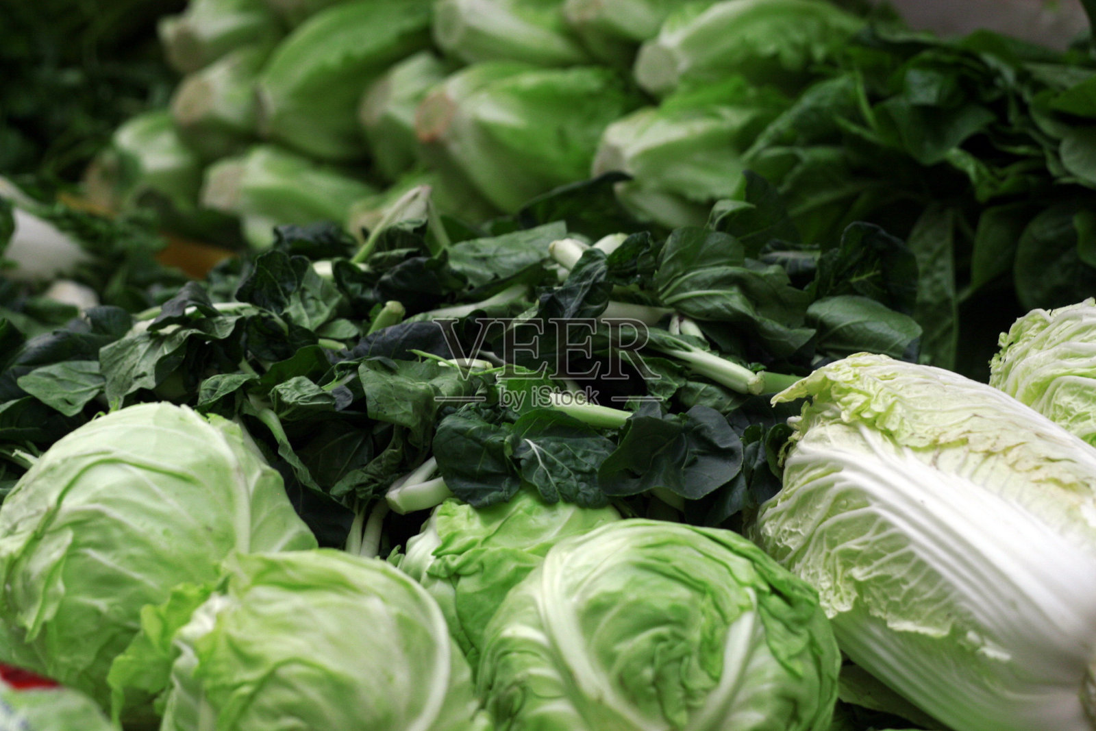 蔬菜照片摄影图片