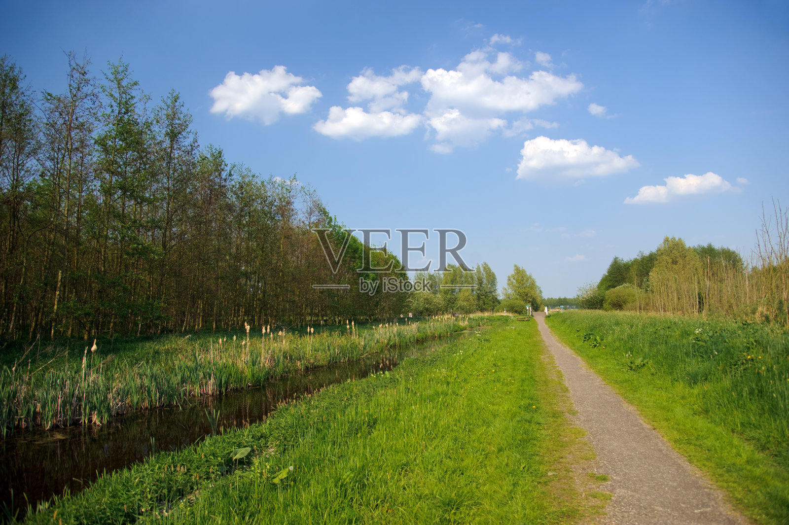 河边和森林旁的乡村小路照片摄影图片