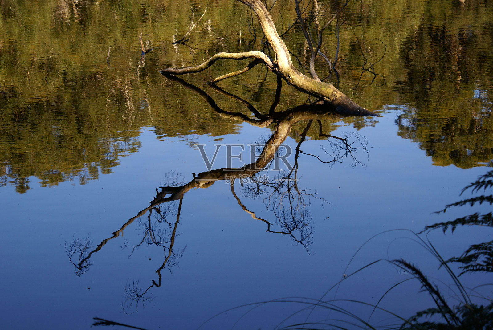 反射照片摄影图片
