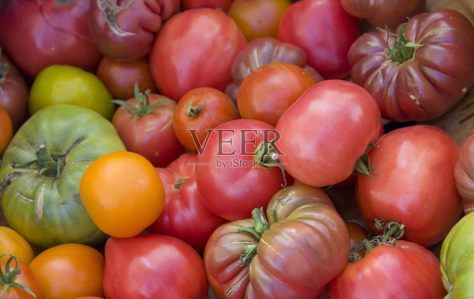 西红柿照片摄影图片