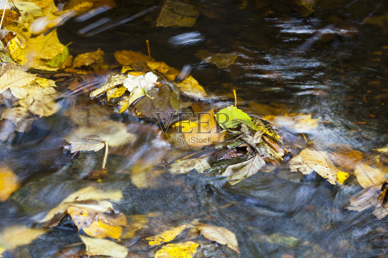 秋叶溪流照片摄影图片