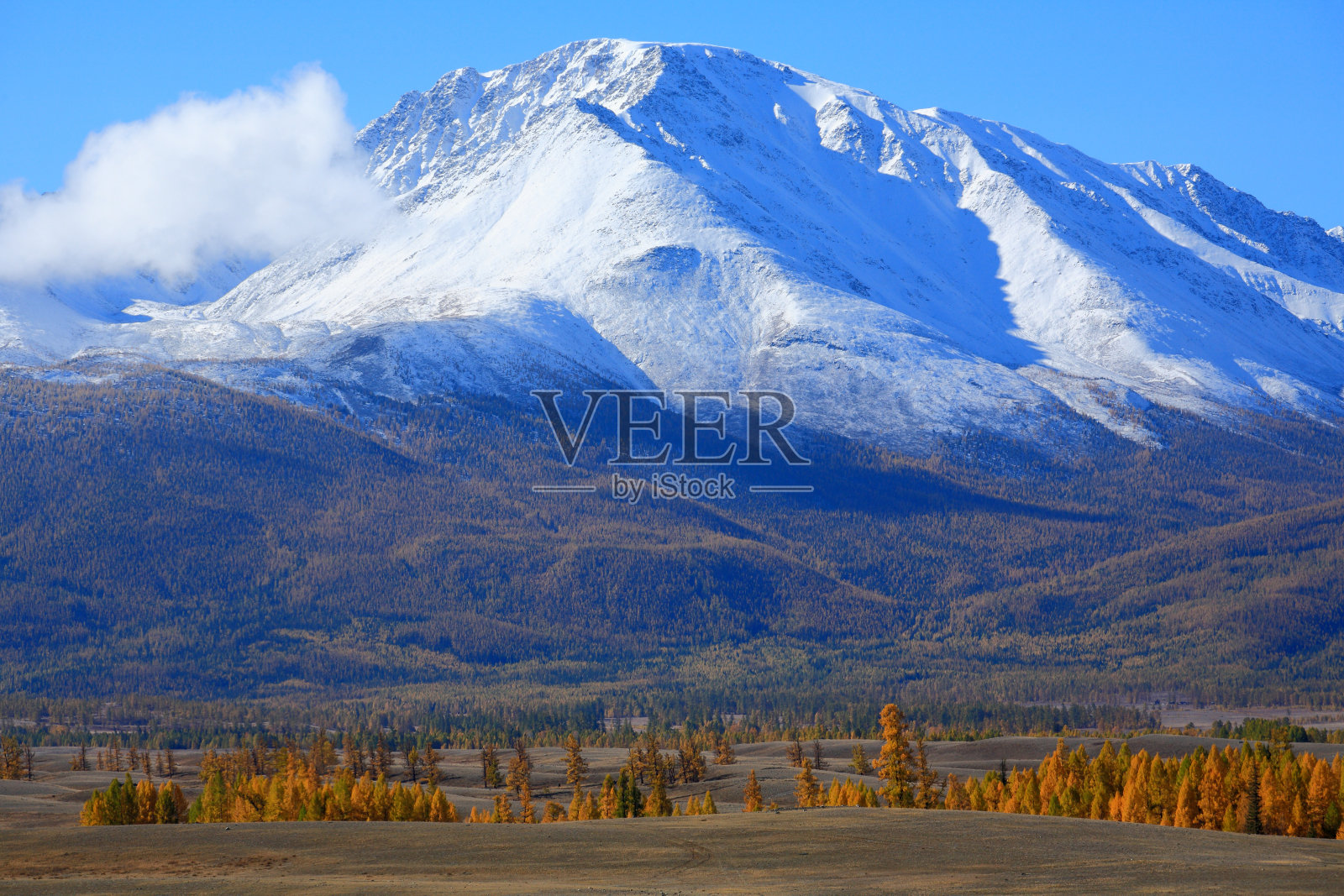 阿尔泰山脉照片摄影图片