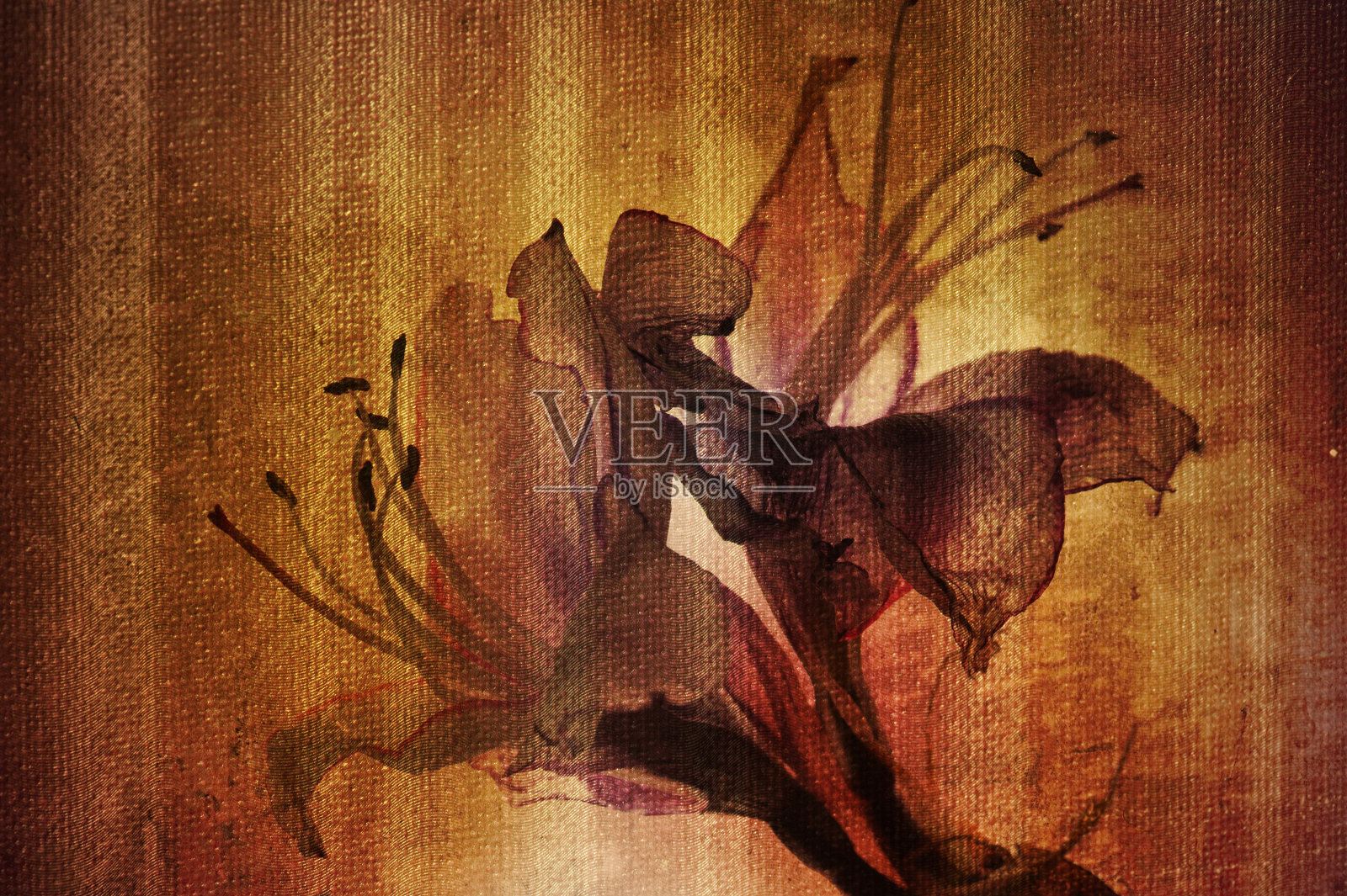 的背景。照片摄影图片