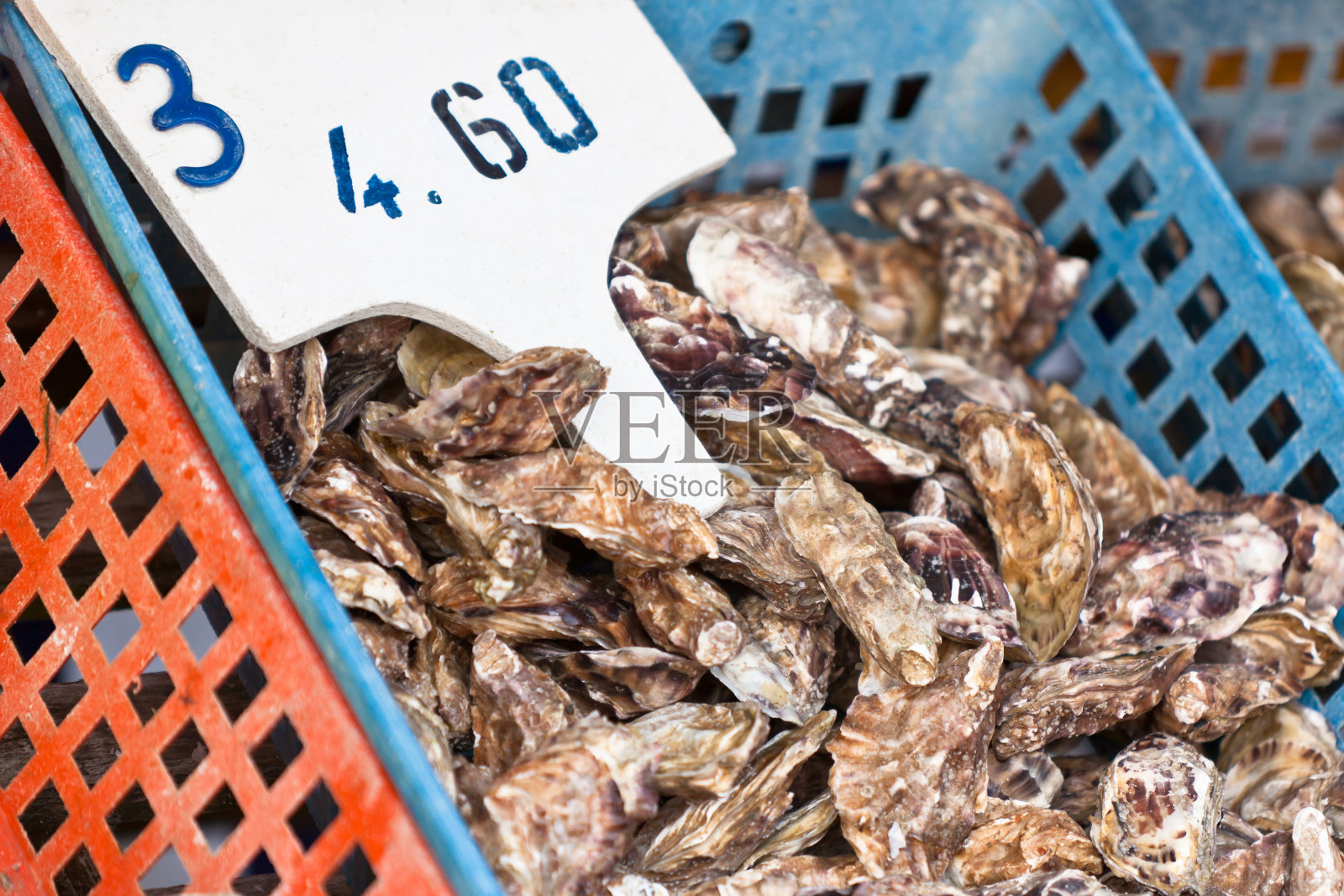 牡蛎市场照片摄影图片