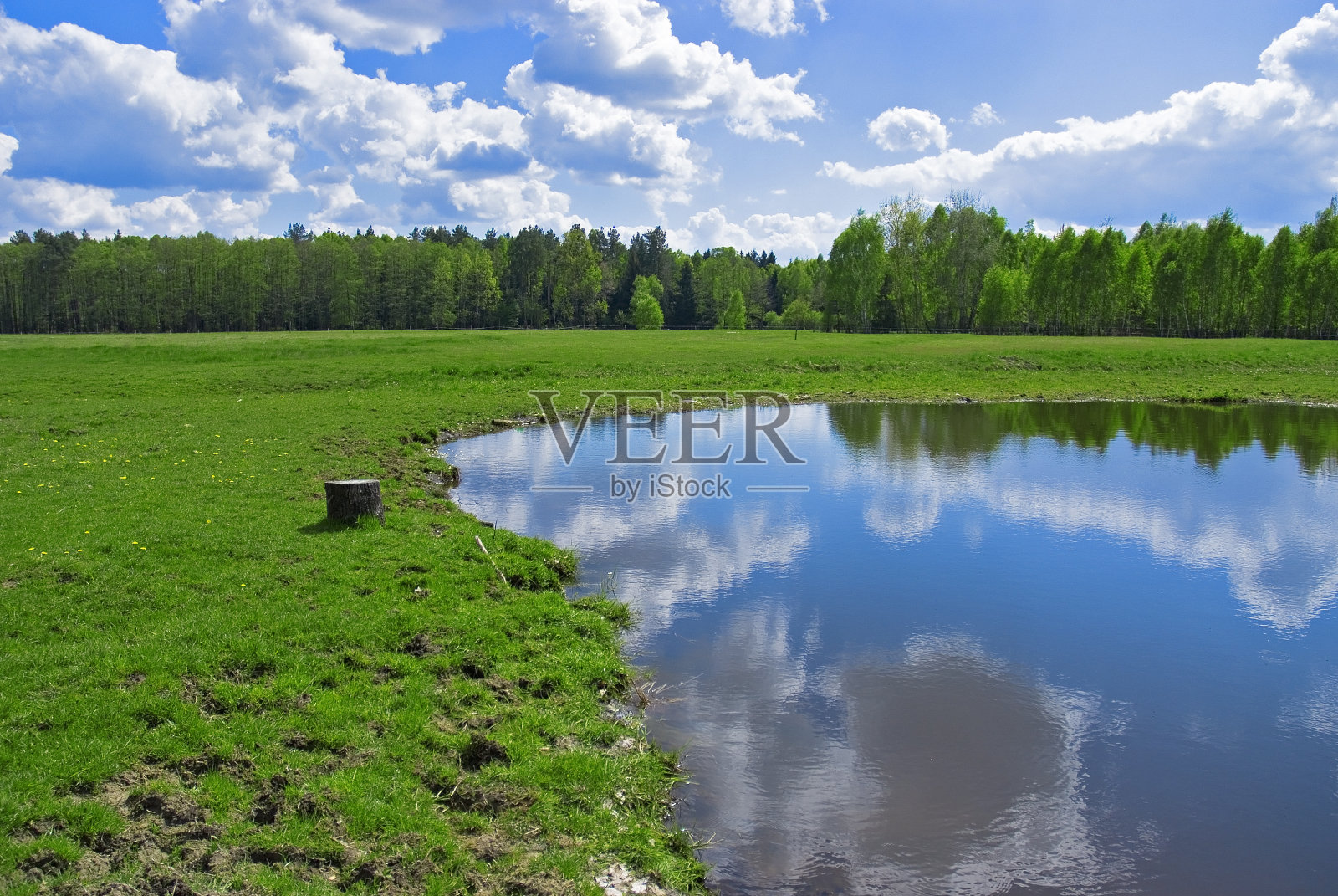 以森林为背景的湖泊照片摄影图片