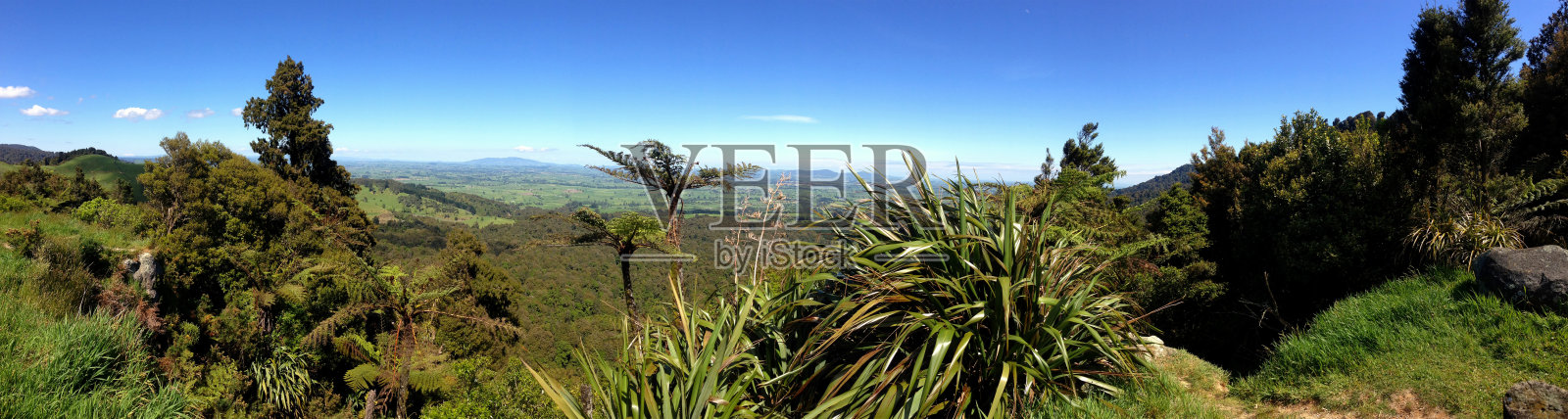 新西兰照片摄影图片