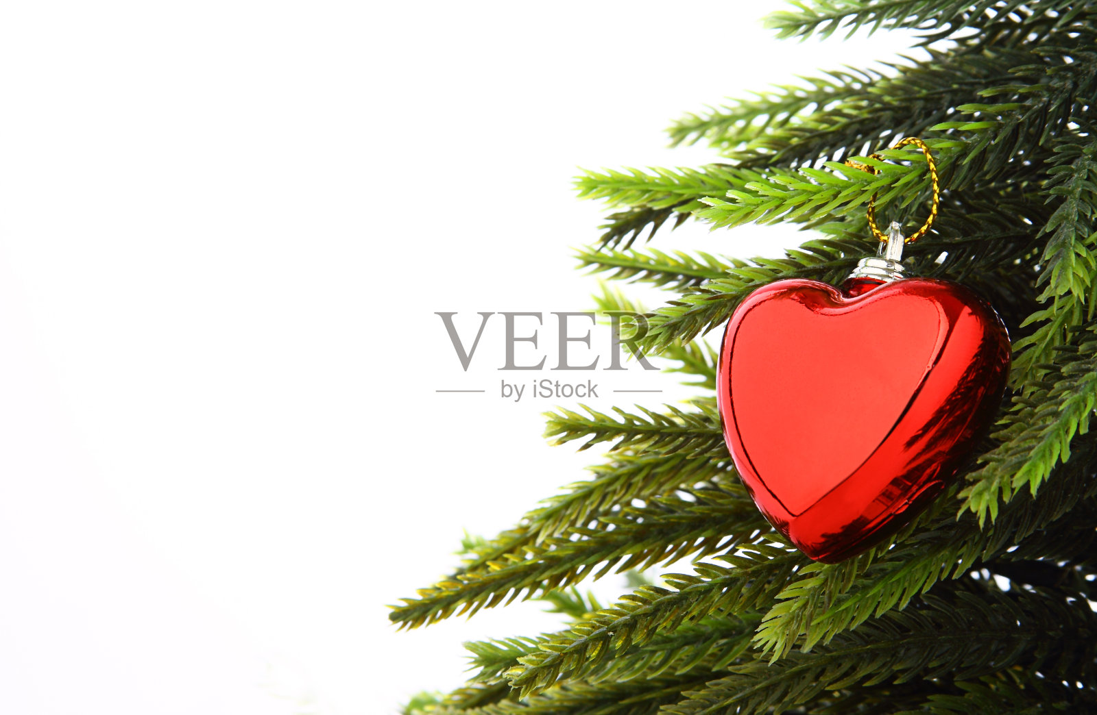 松与心照片摄影图片