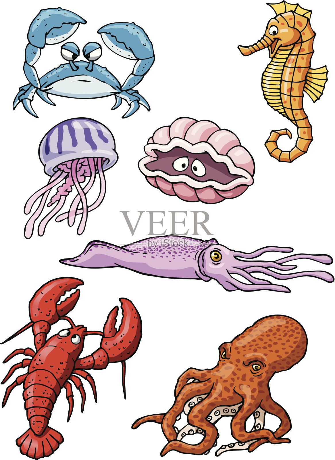 海洋生物照片摄影图片