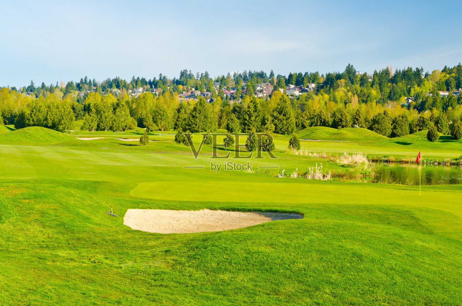 Goulf赛跑照片摄影图片