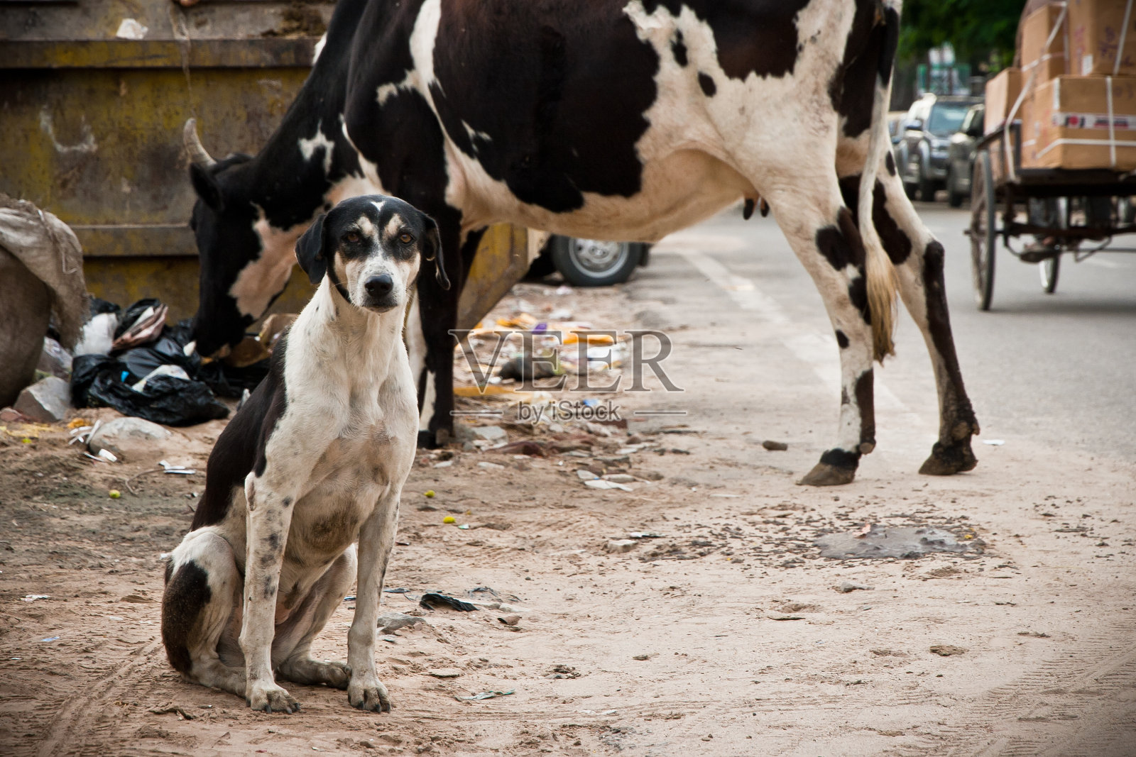 同样的颜色照片摄影图片