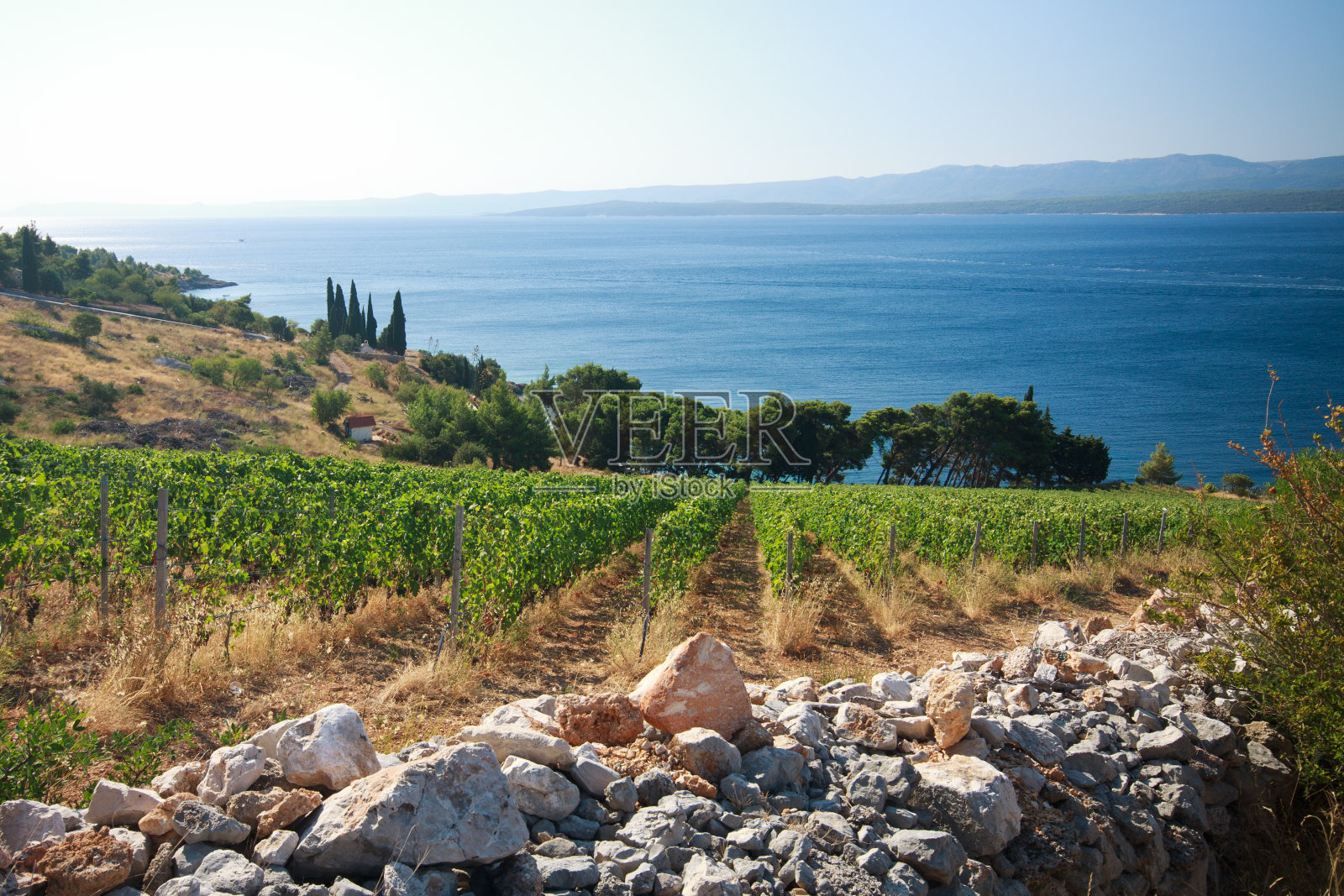 穆尔维察照片摄影图片