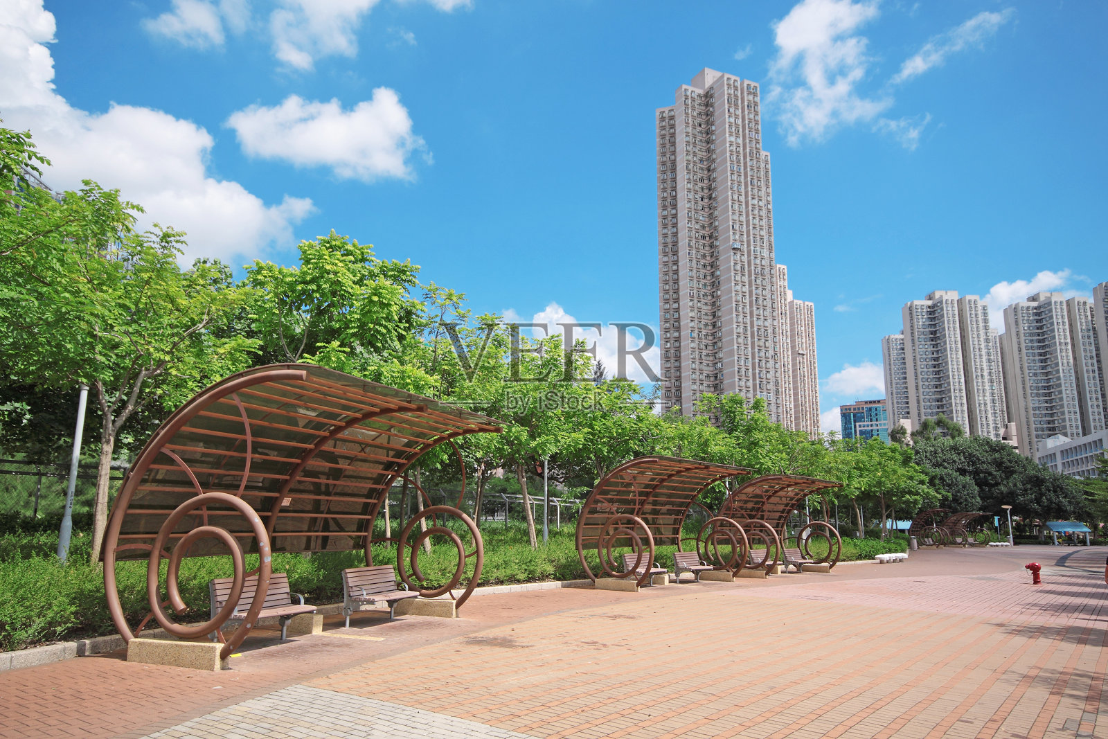 夏日在公共城市公园里照片摄影图片