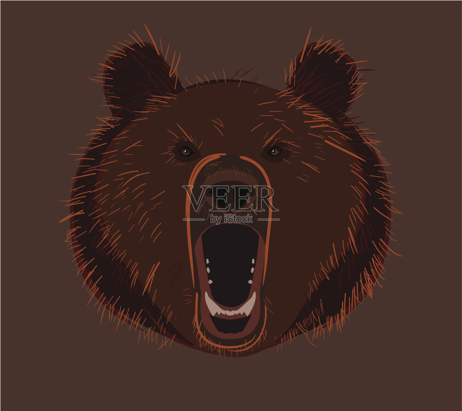 熊插画图片素材