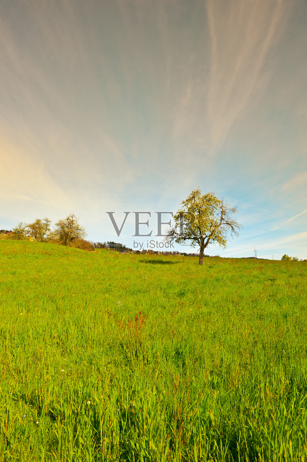 早....照片摄影图片