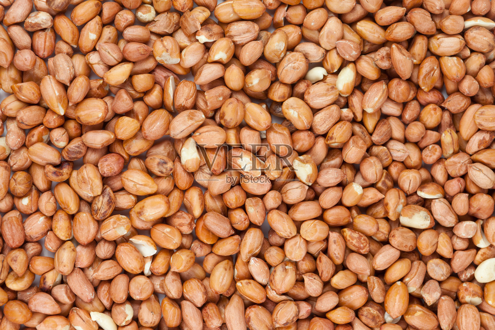 花生照片摄影图片