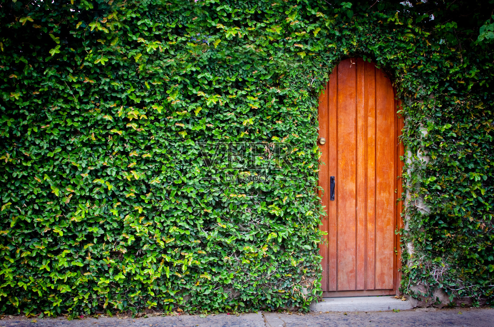 孤独的门照片摄影图片