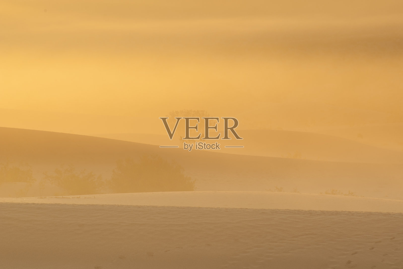 沙漠的沙丘照片摄影图片