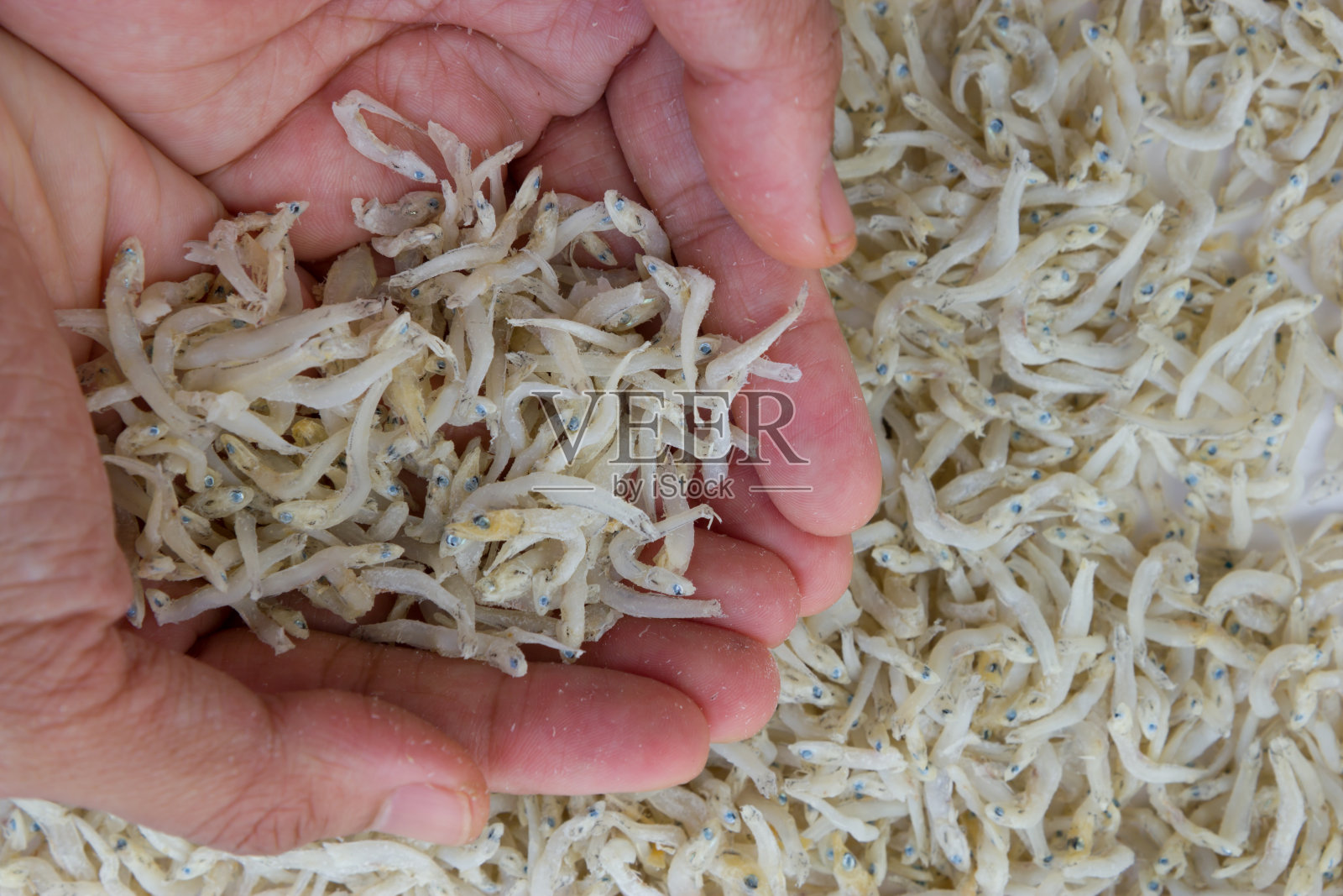 手握小鱼照片摄影图片