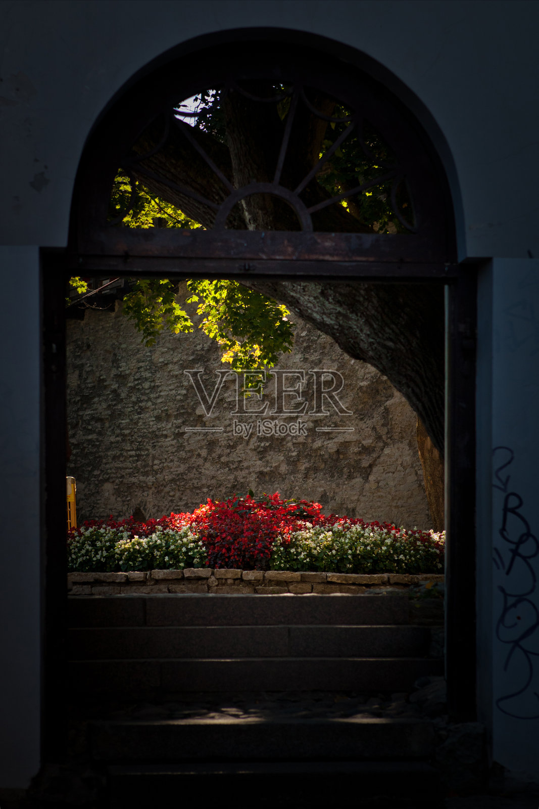 中世纪的花园照片摄影图片