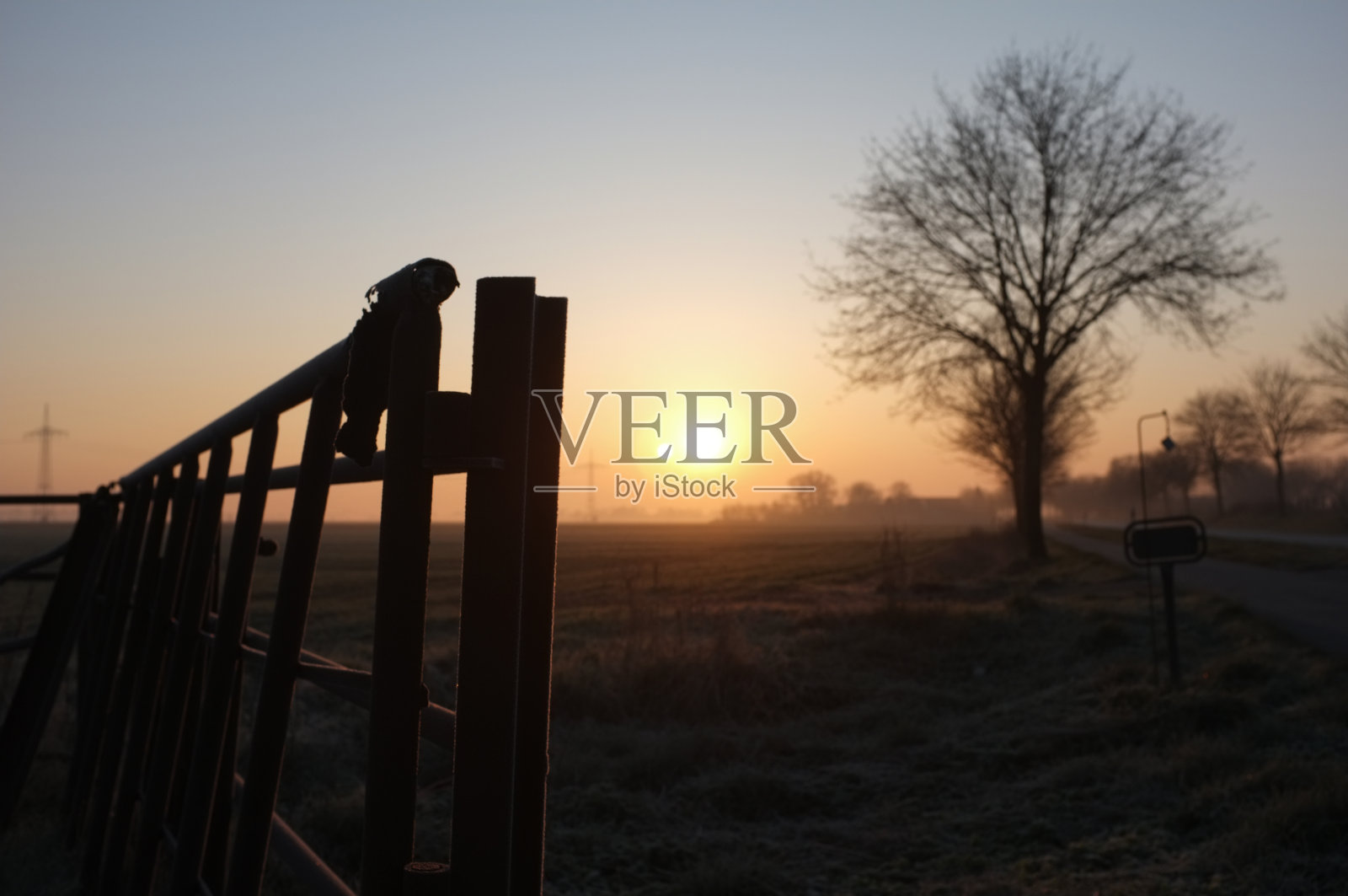 田野里的日出景色照片摄影图片
