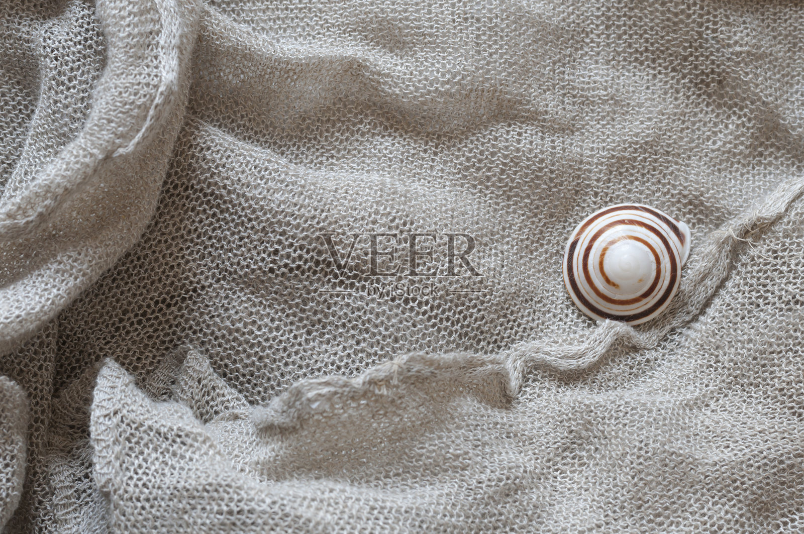 蜗牛壳亚麻布照片摄影图片