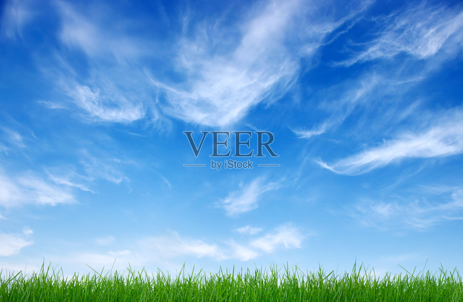 绿草照片摄影图片