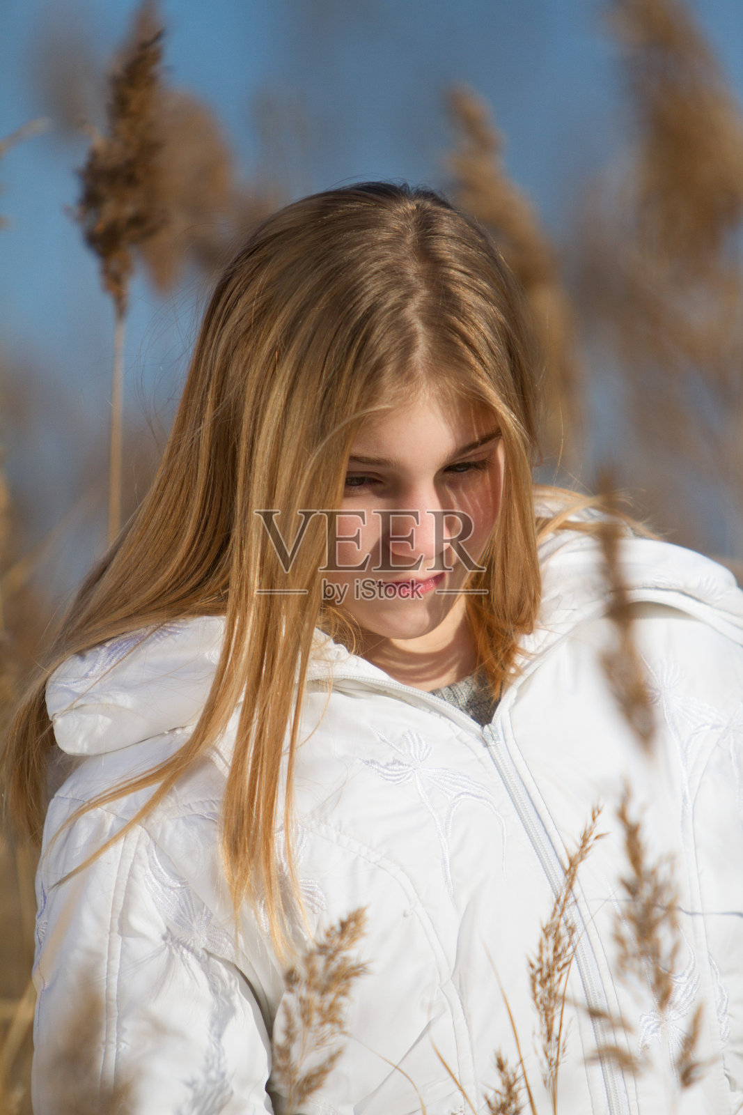 女孩在里德照片摄影图片