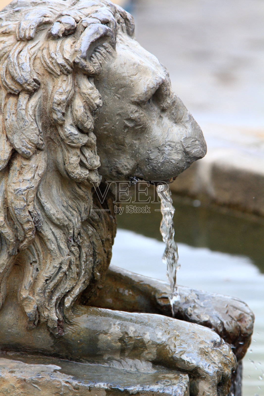 青铜喷泉形状的里昂释放水从嘴照片摄影图片