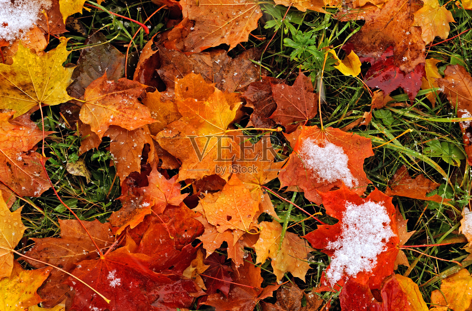 景观照片摄影图片