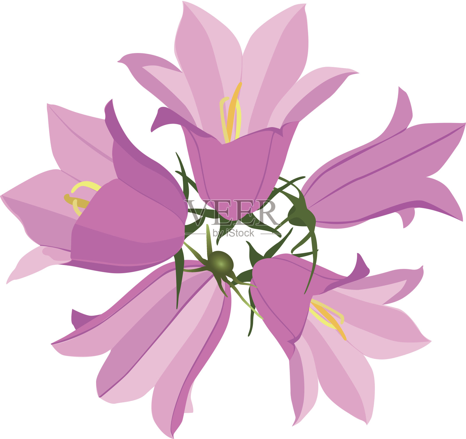 野花花束。插画图片素材