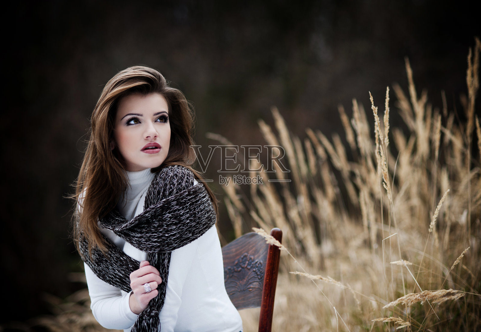 森林的心情照片摄影图片