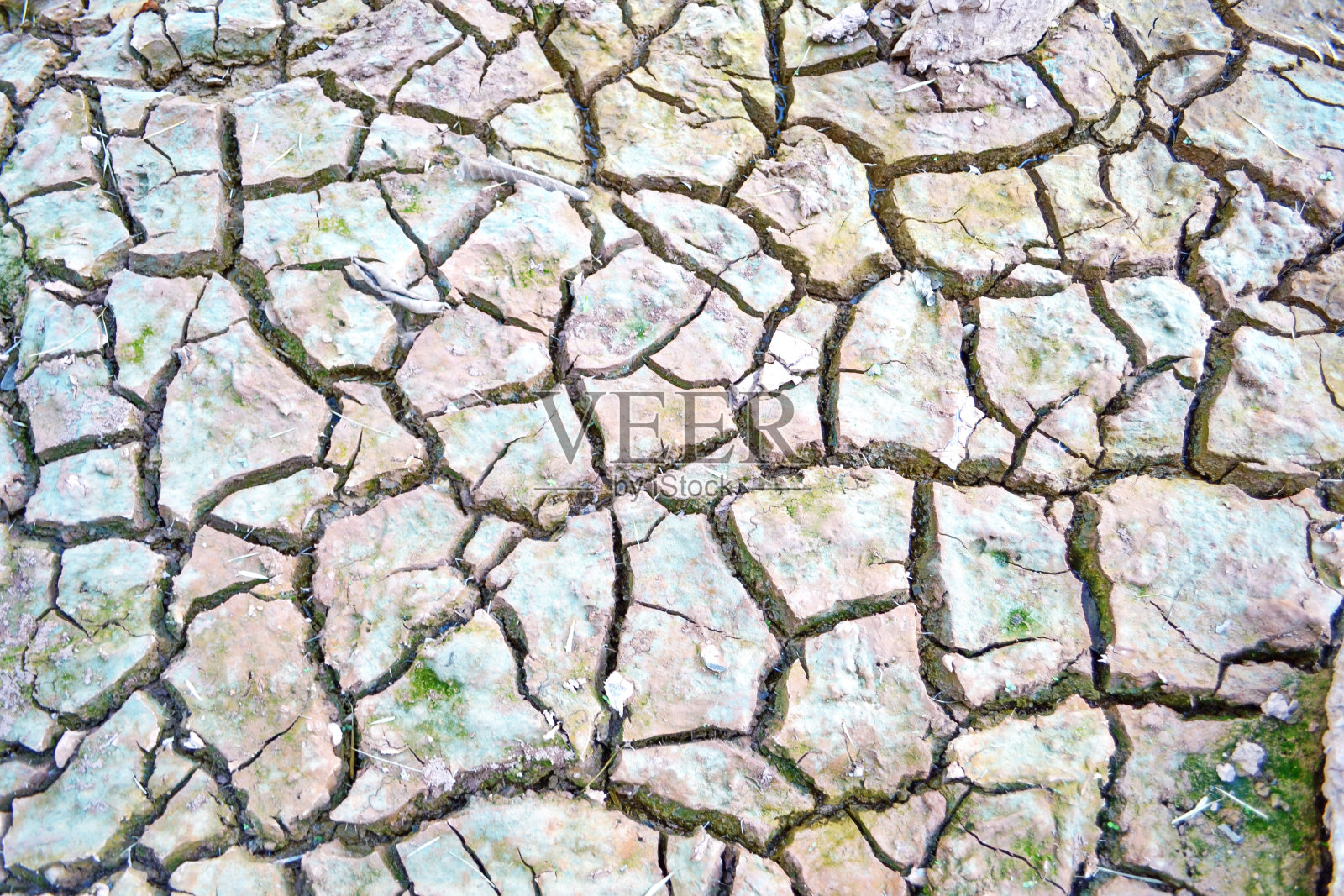 干燥开裂的地球照片摄影图片