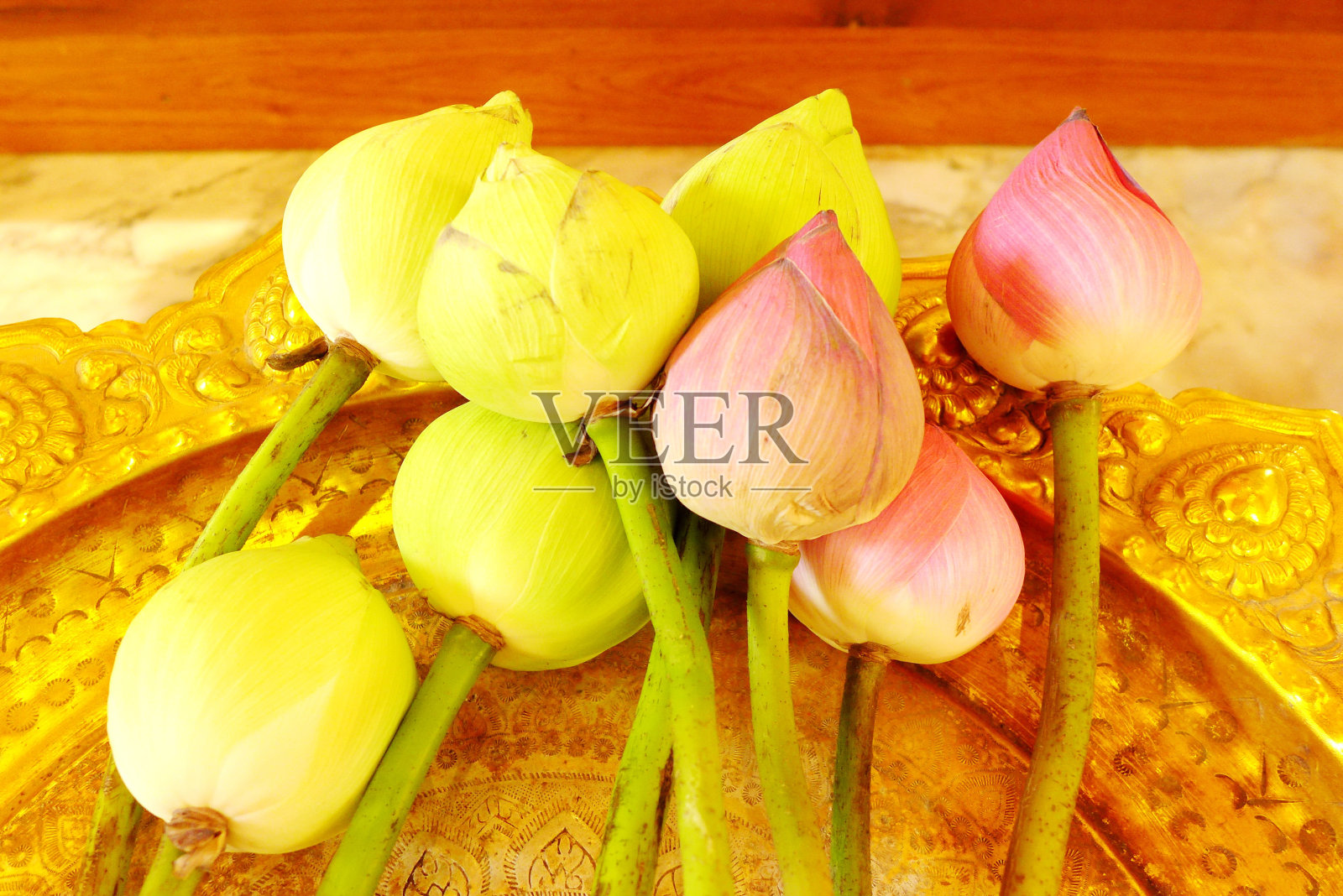 金盘上的莲花照片摄影图片