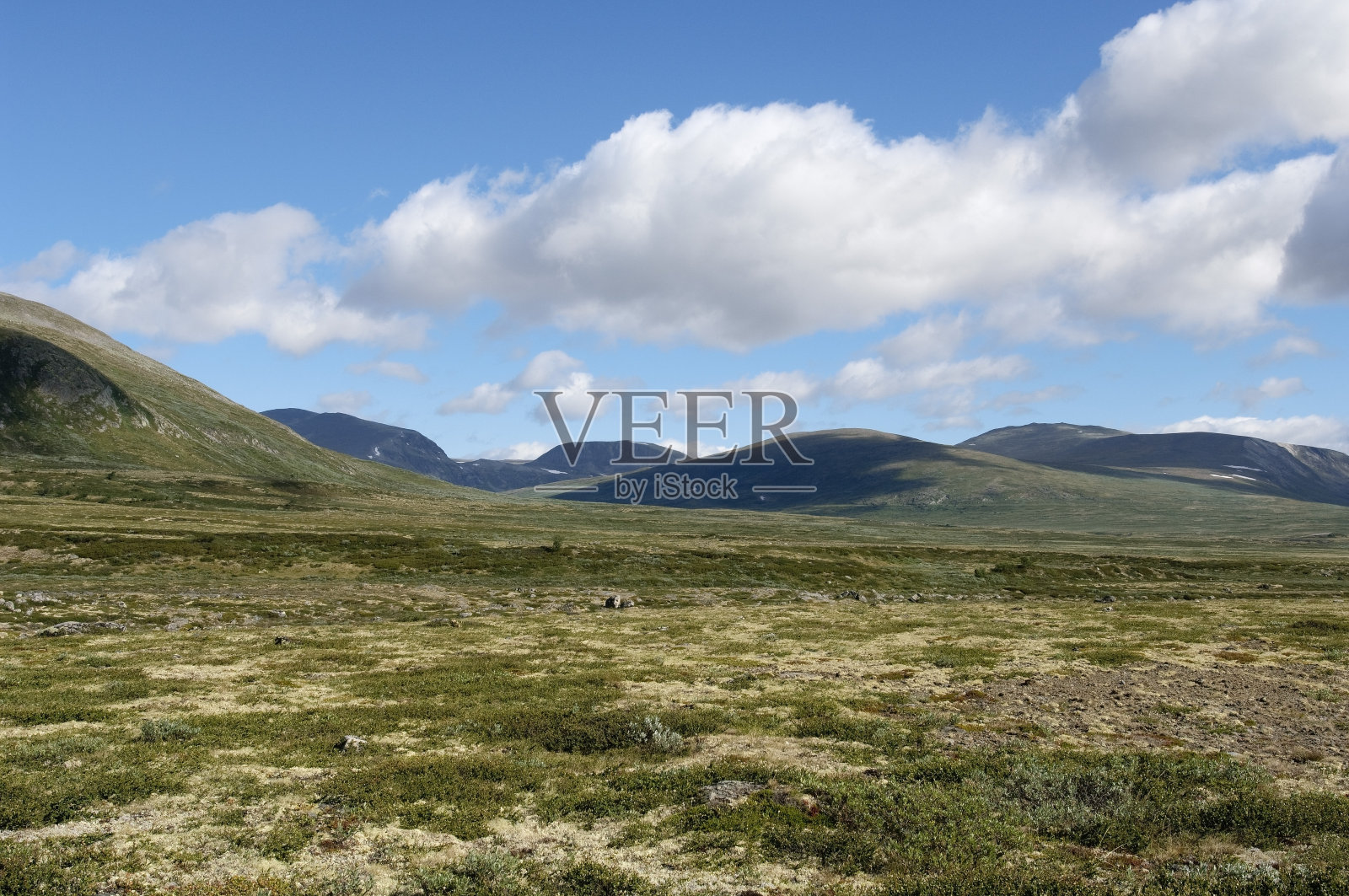 Dovrefjell国家公园照片摄影图片