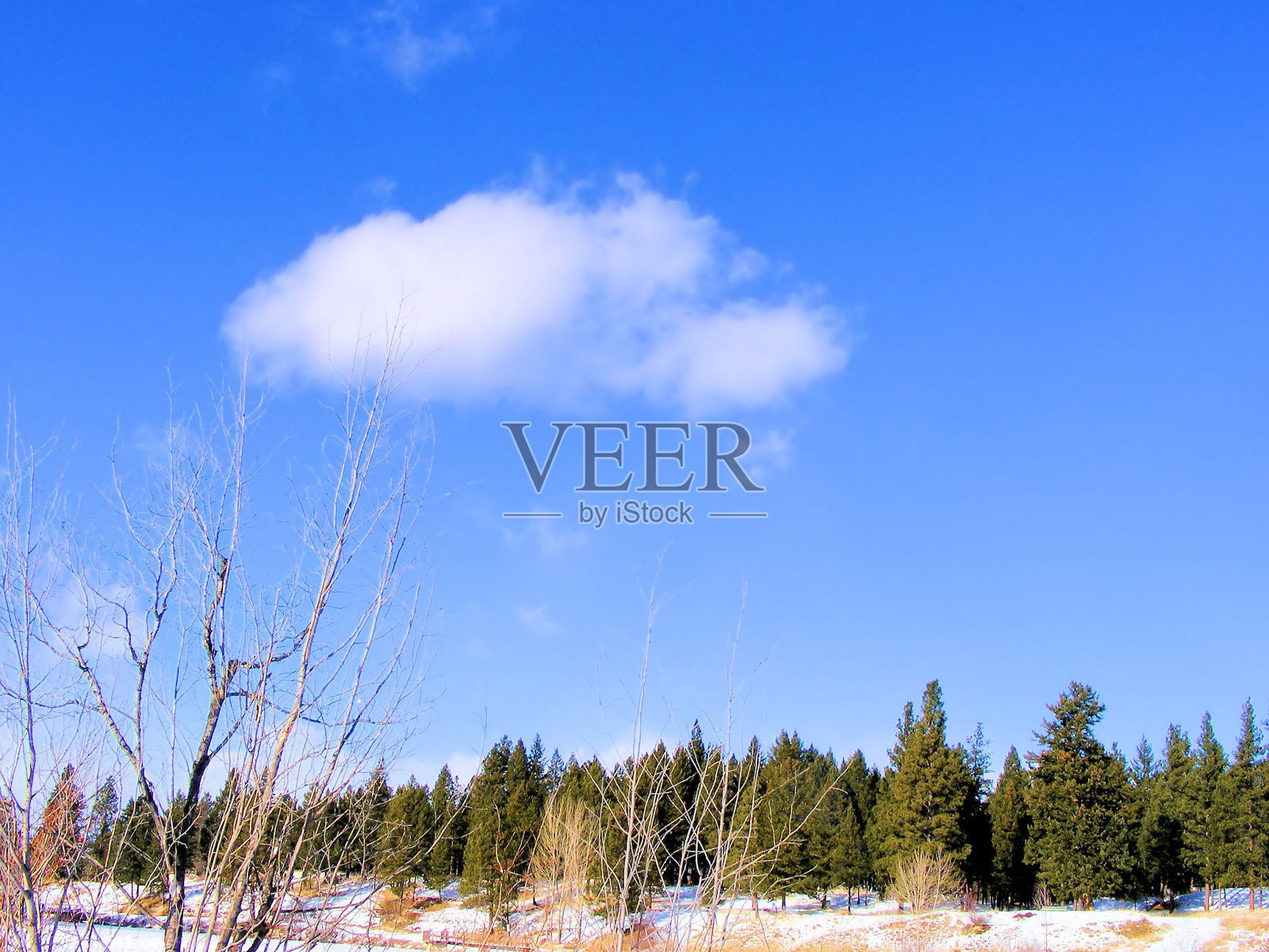 云照片摄影图片