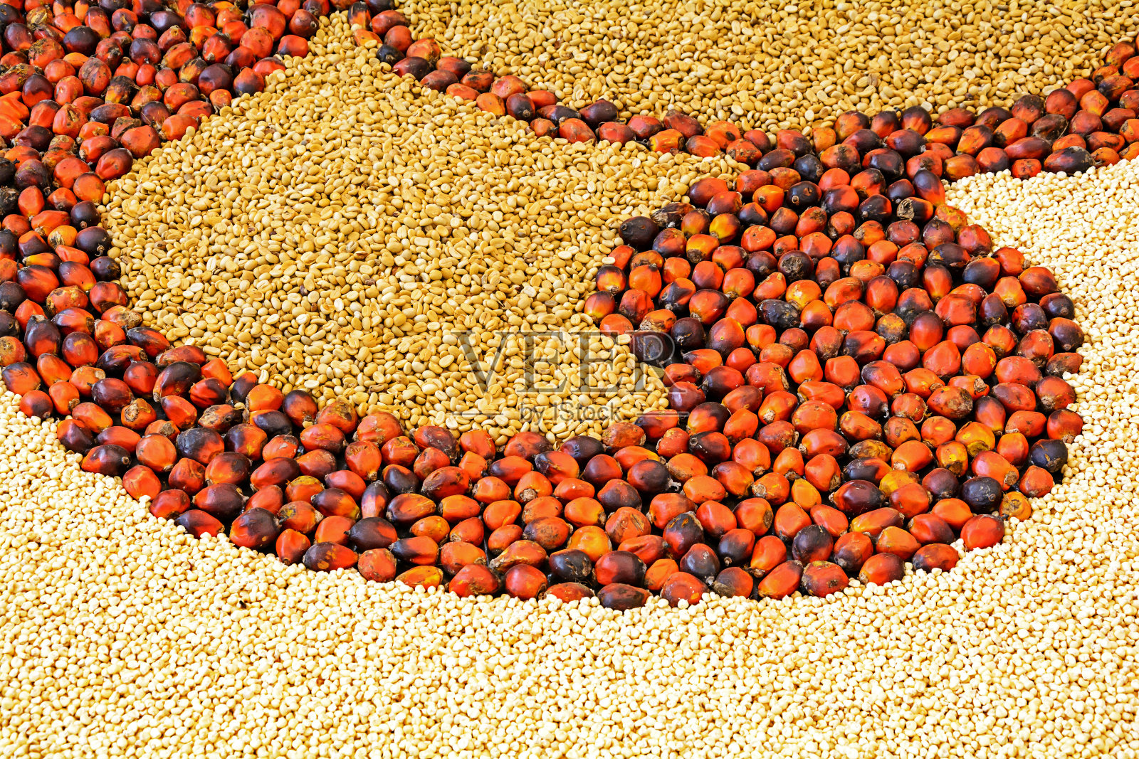 铺上一块平板照片摄影图片