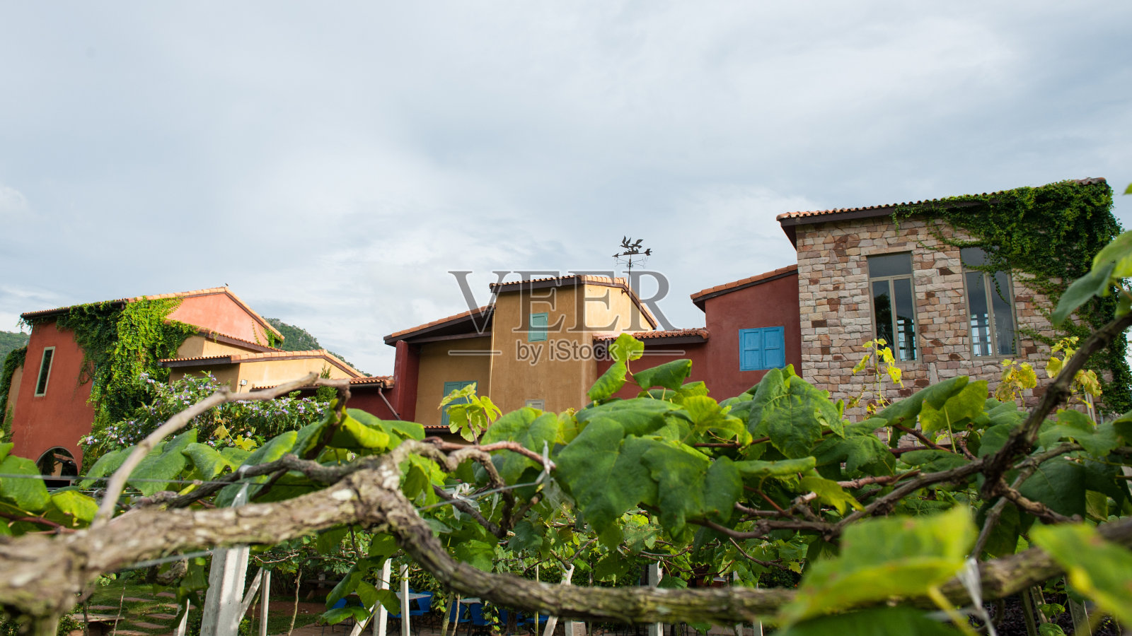 普里莫·波斯托的后视图照片摄影图片