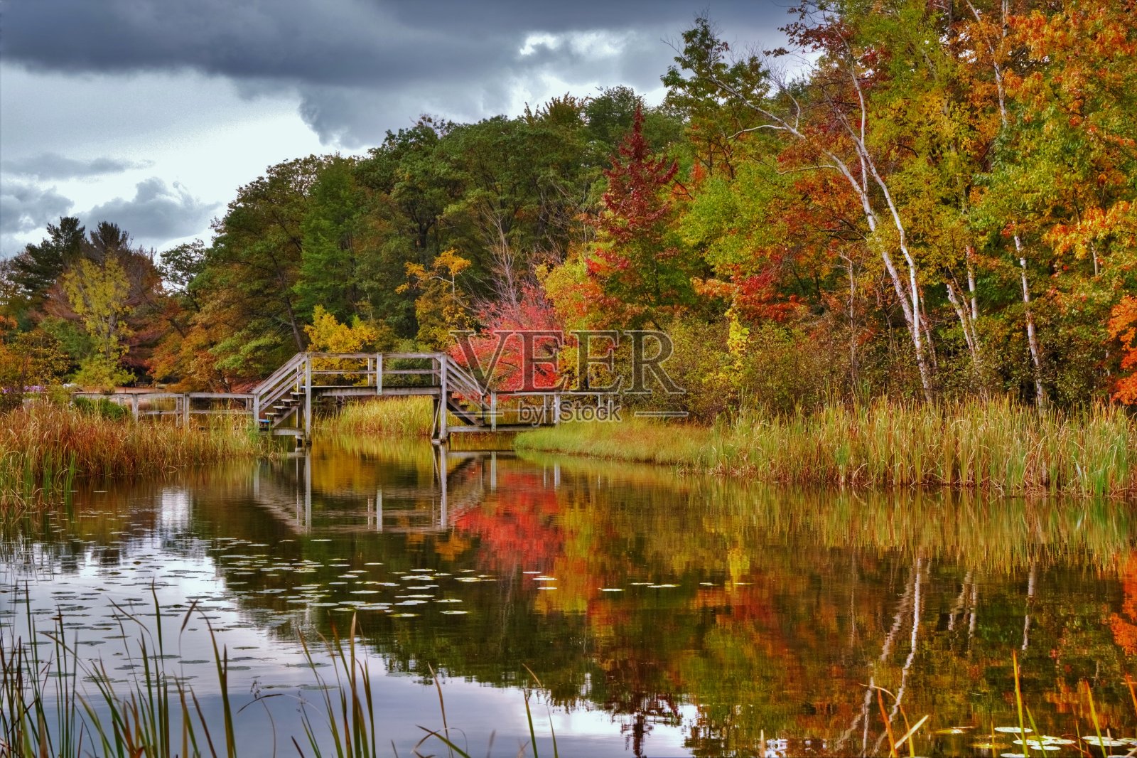 木桥反射照片摄影图片