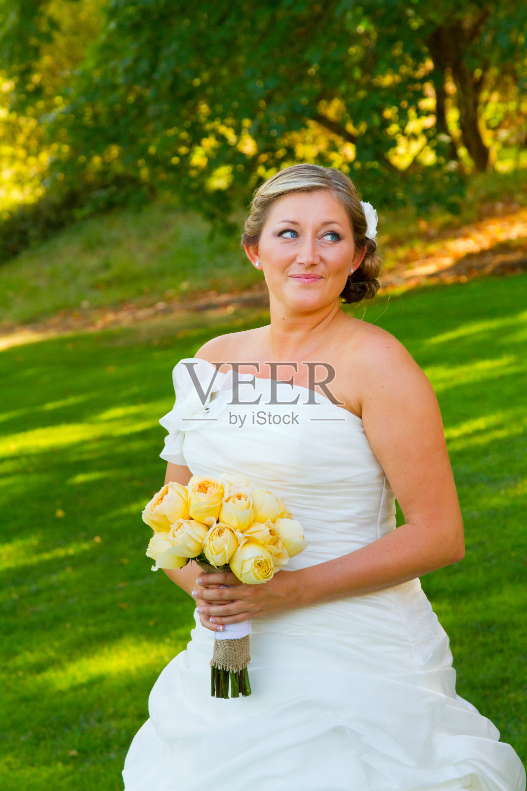 美丽新娘婚礼日照片摄影图片