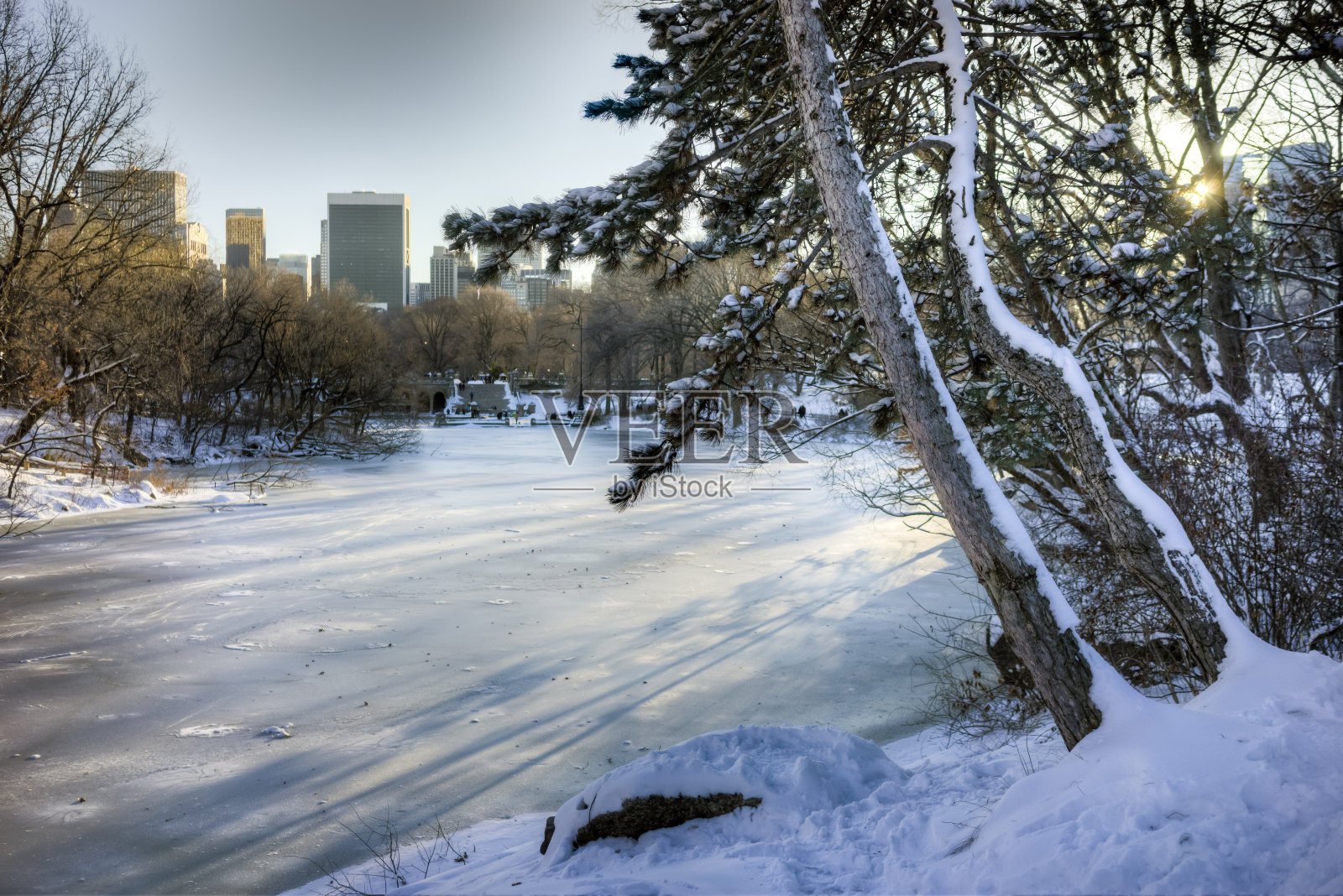 纽约中央公园照片摄影图片