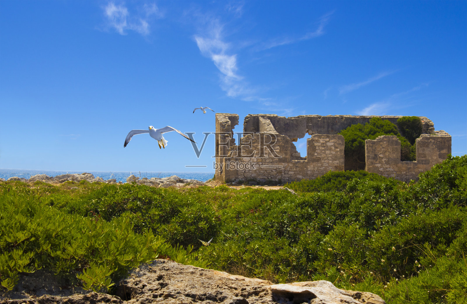 悬崖在实验照片摄影图片
