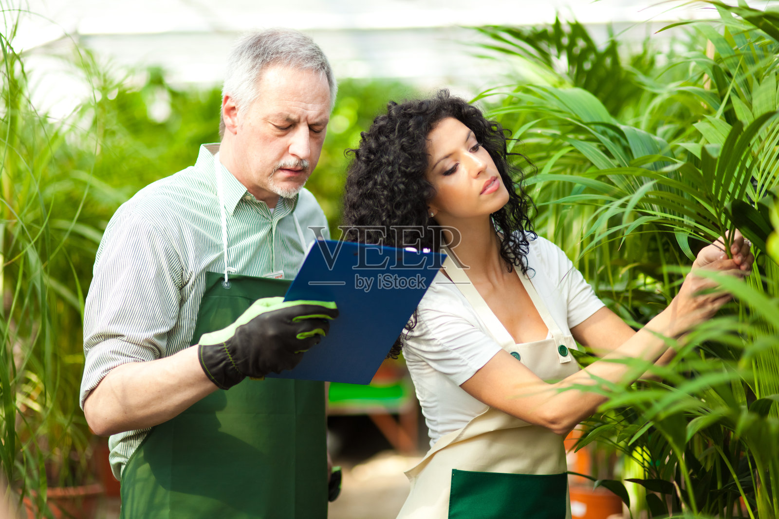 绿色房子的工人照片摄影图片