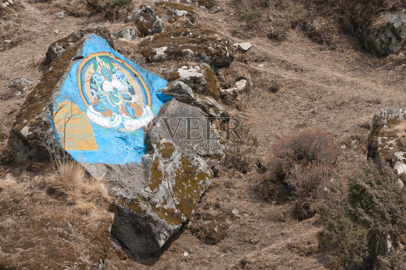 古鲁·林波切照片摄影图片